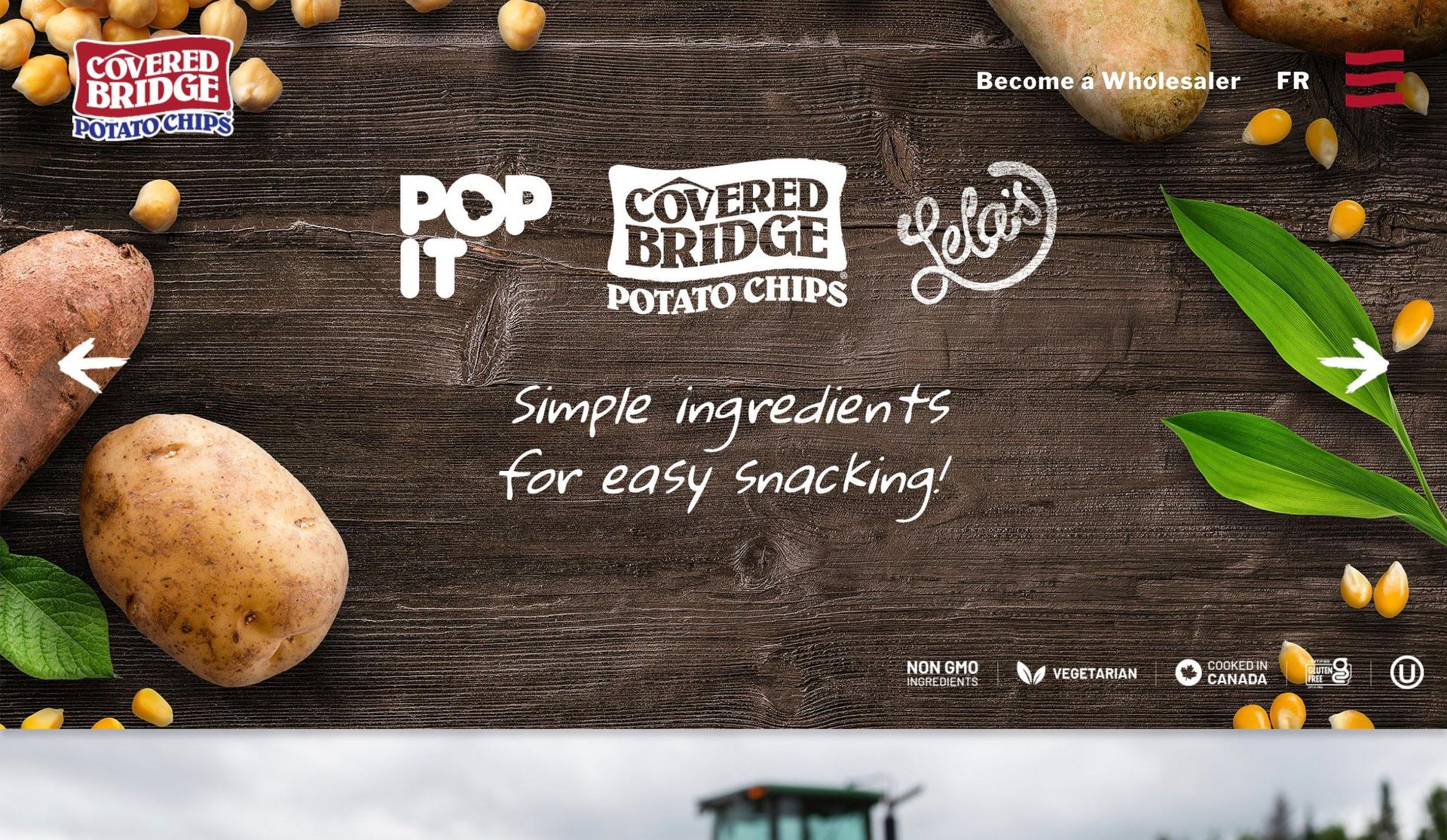 Covered Bridge Chips-small business websites