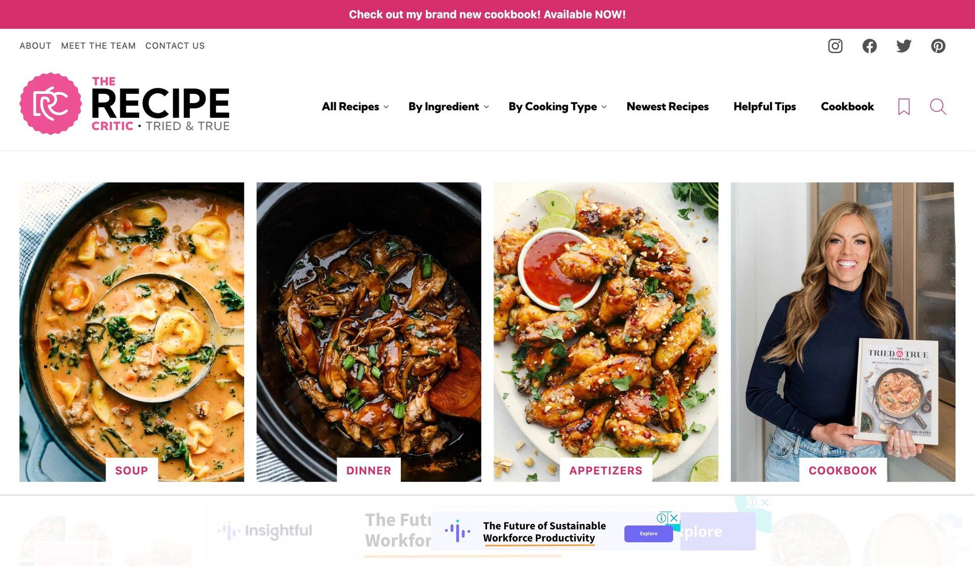 The Recipe Critic-food blog examples