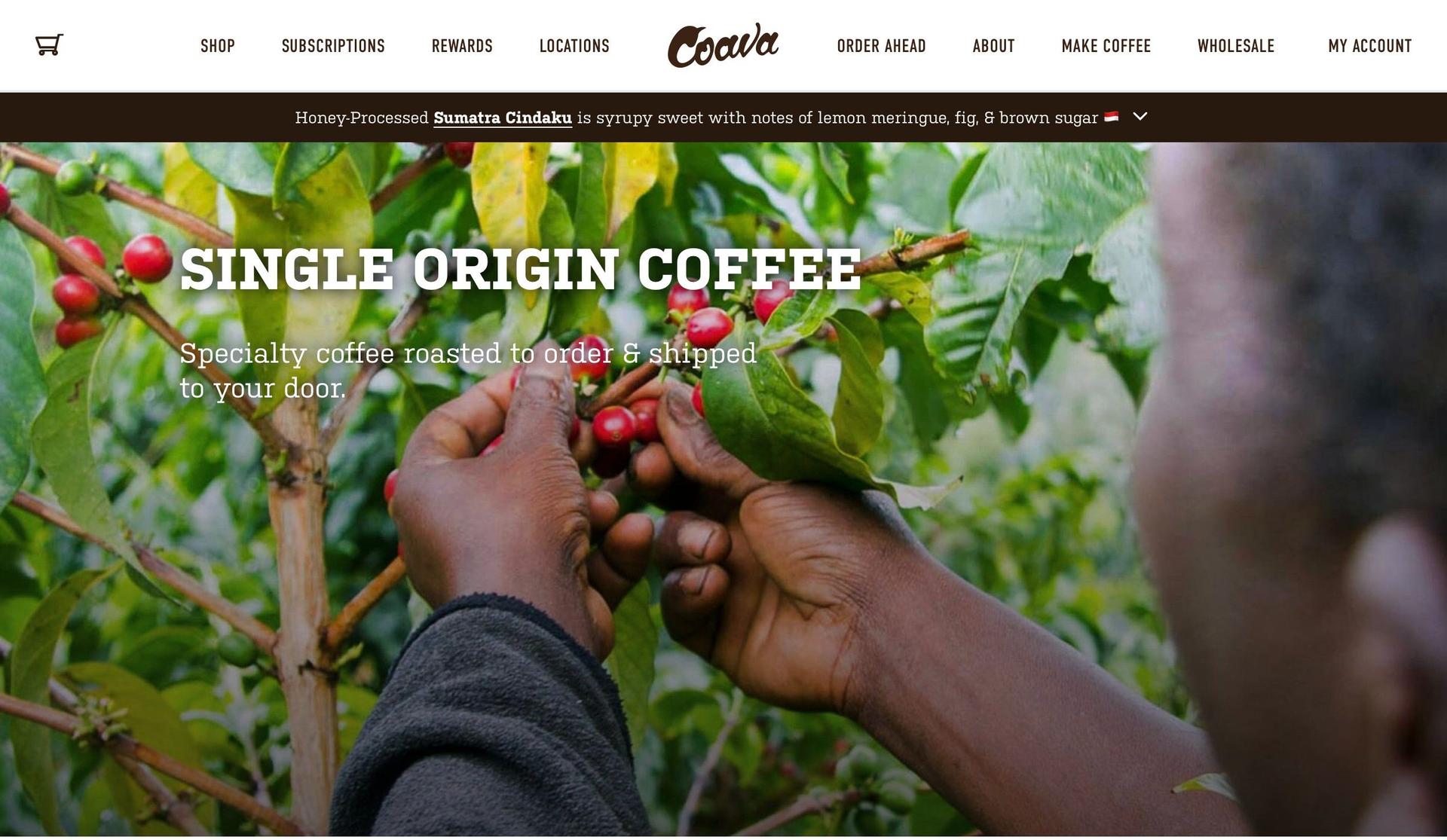 Coava Coffee-coffee shop websites