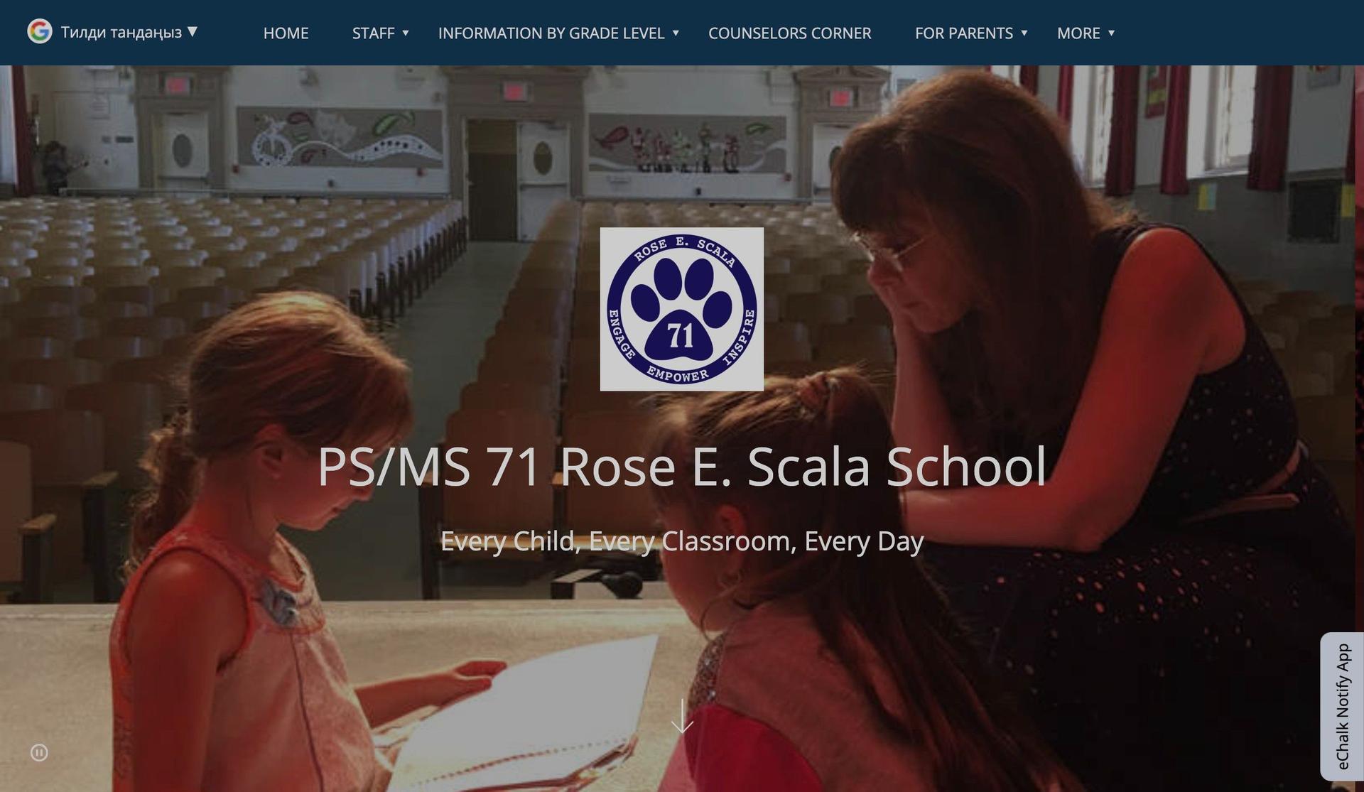 PS71-canva website examples