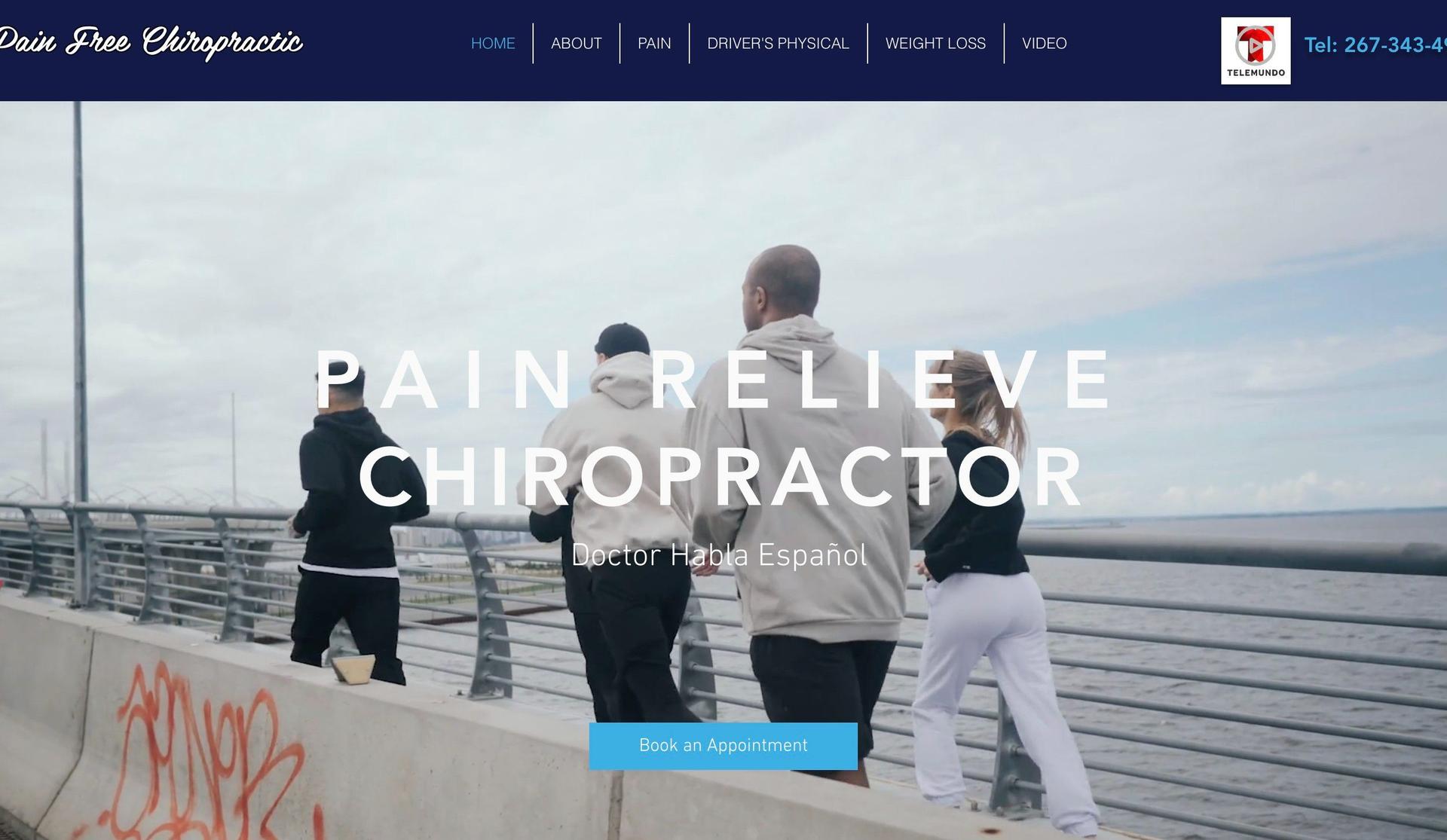 Philly Pain Free Chiropractic-chiropractic website designs