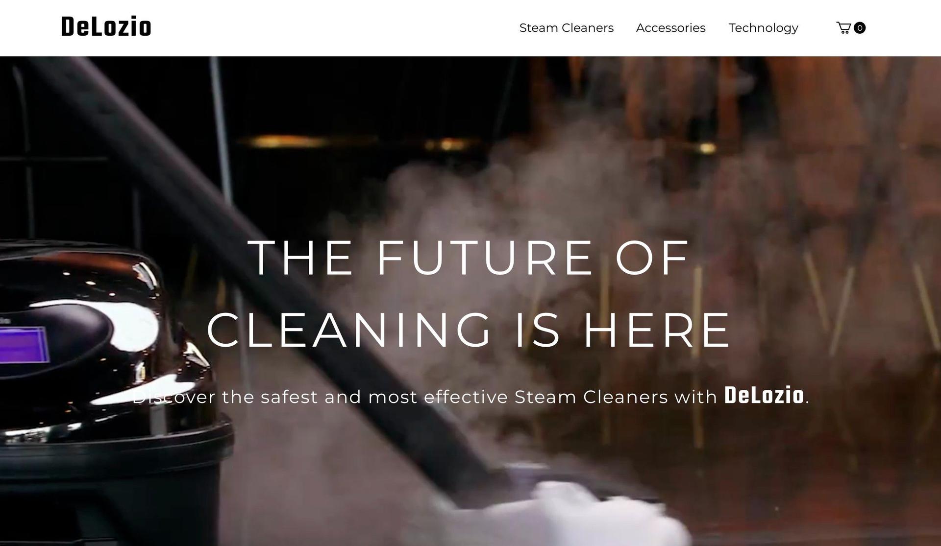 Delozio-cleaning website examples