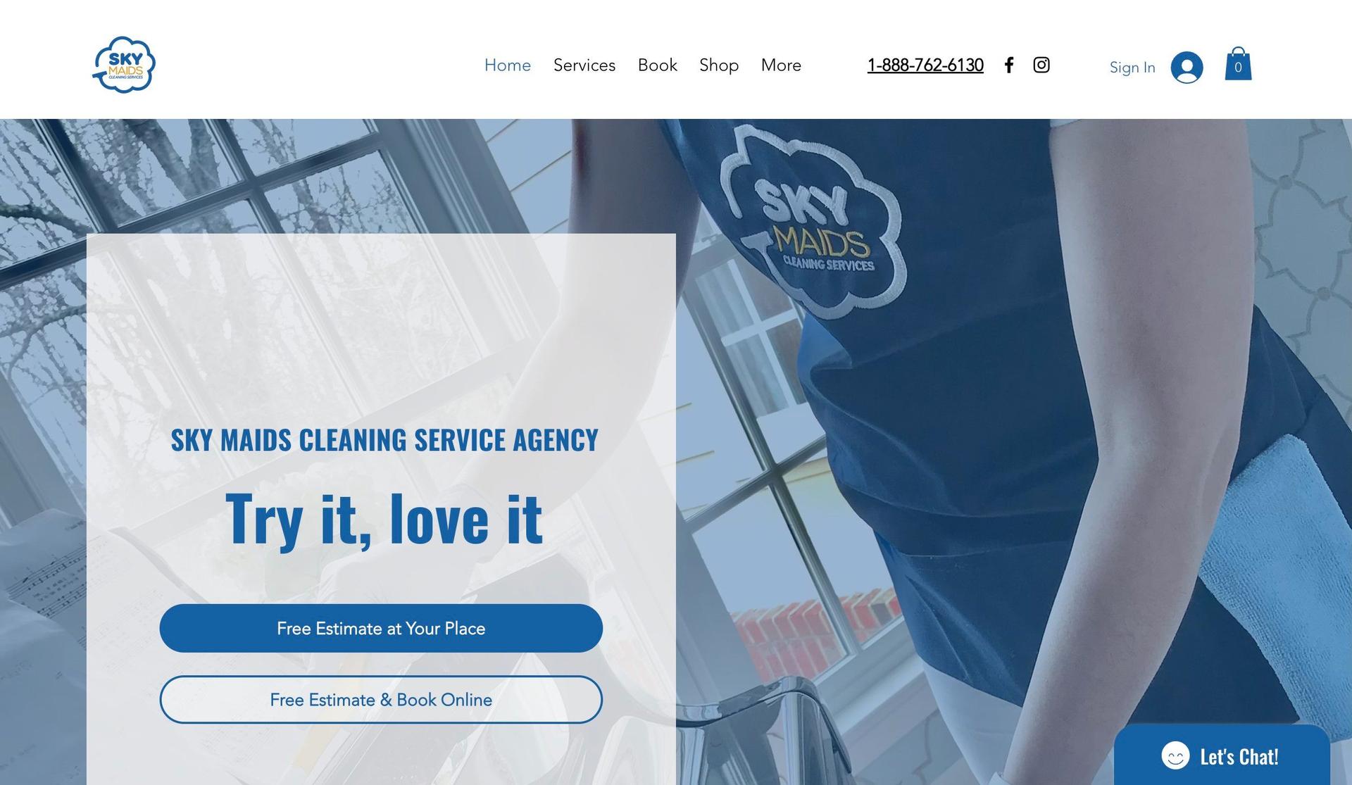 Sky Maids-cleaning website examples