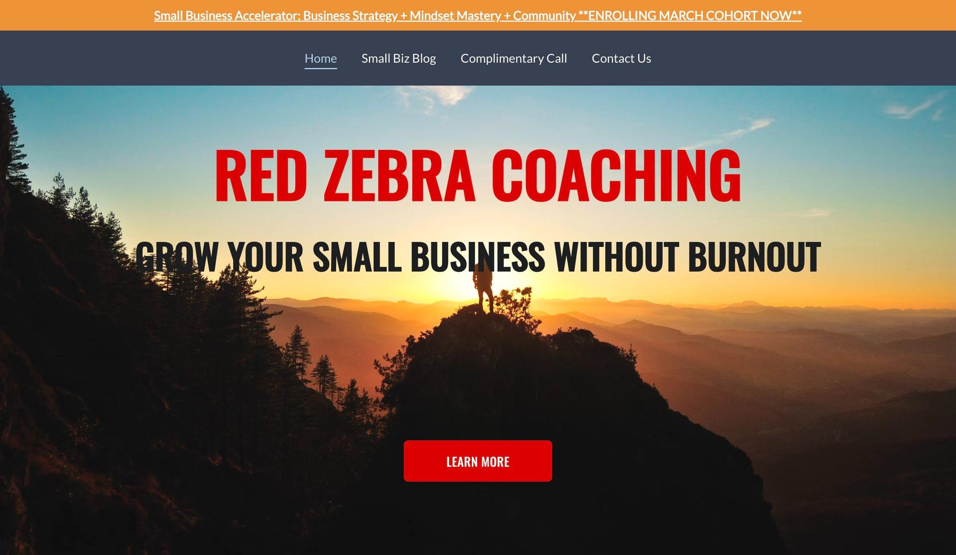 Red Zebra Coaching-coaching websites