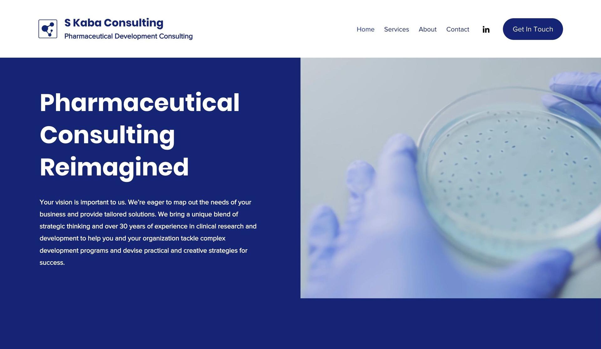 Skaba Consulting-consulting websites