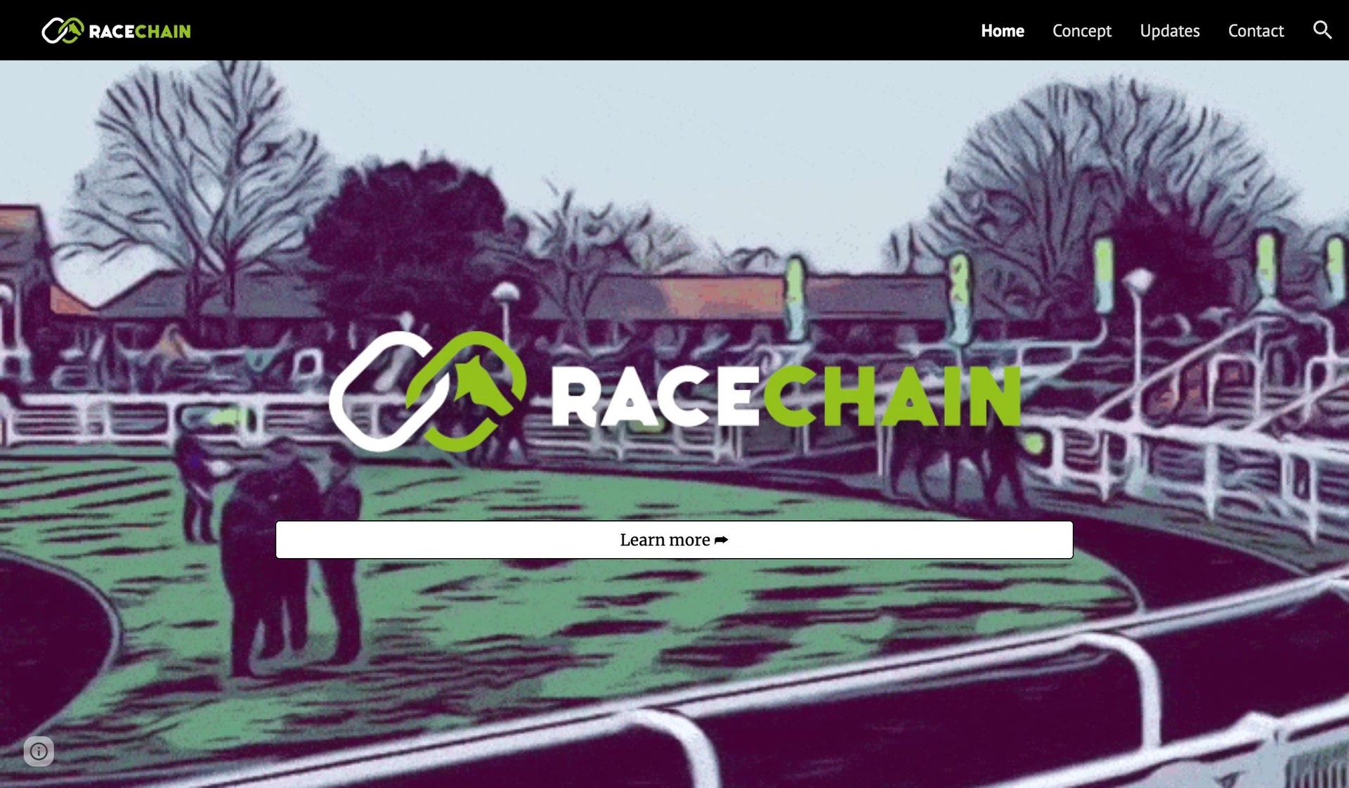 Racechain-google sites examples