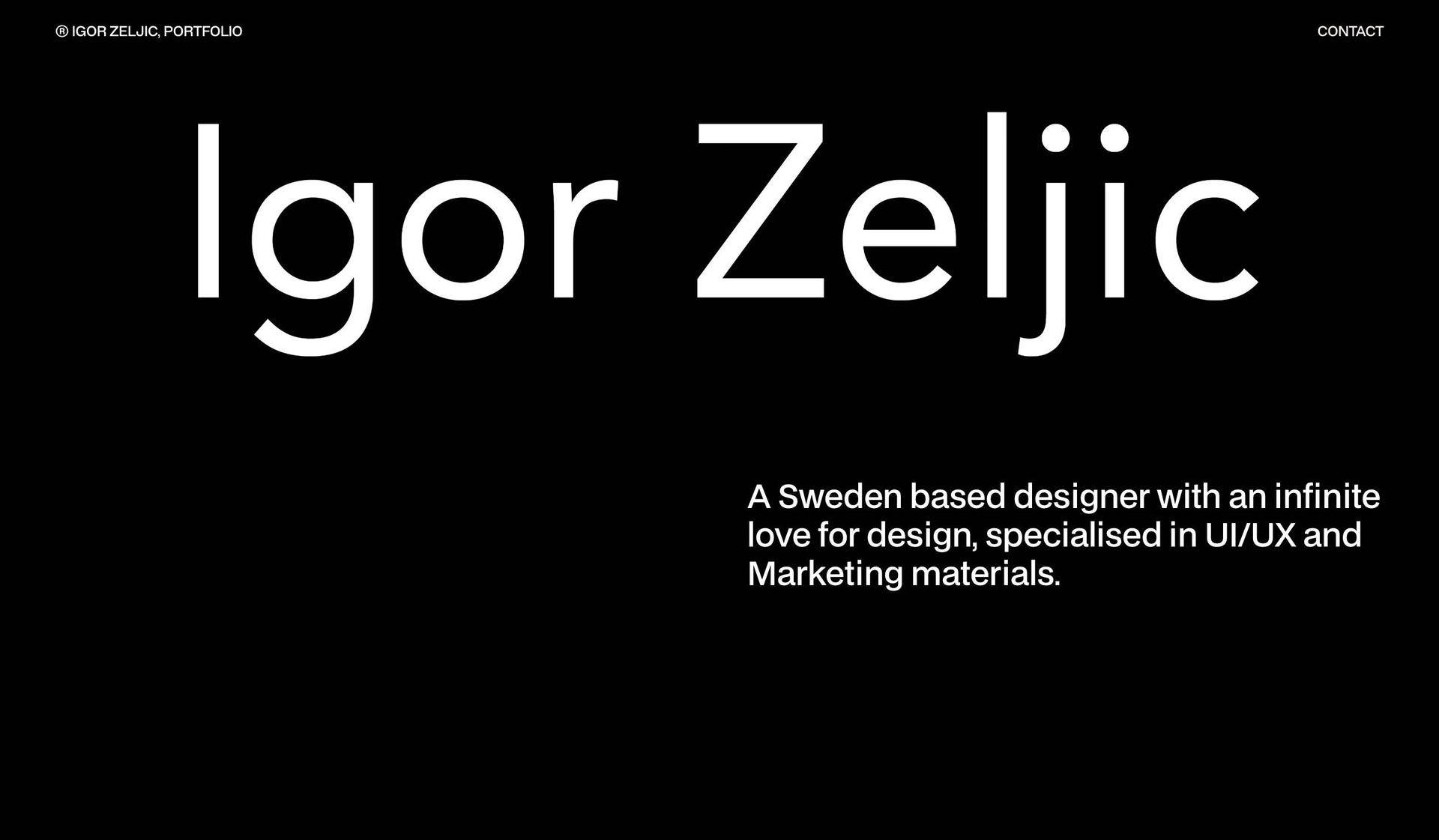 Igor Zeljic-graphic design portfolio examples