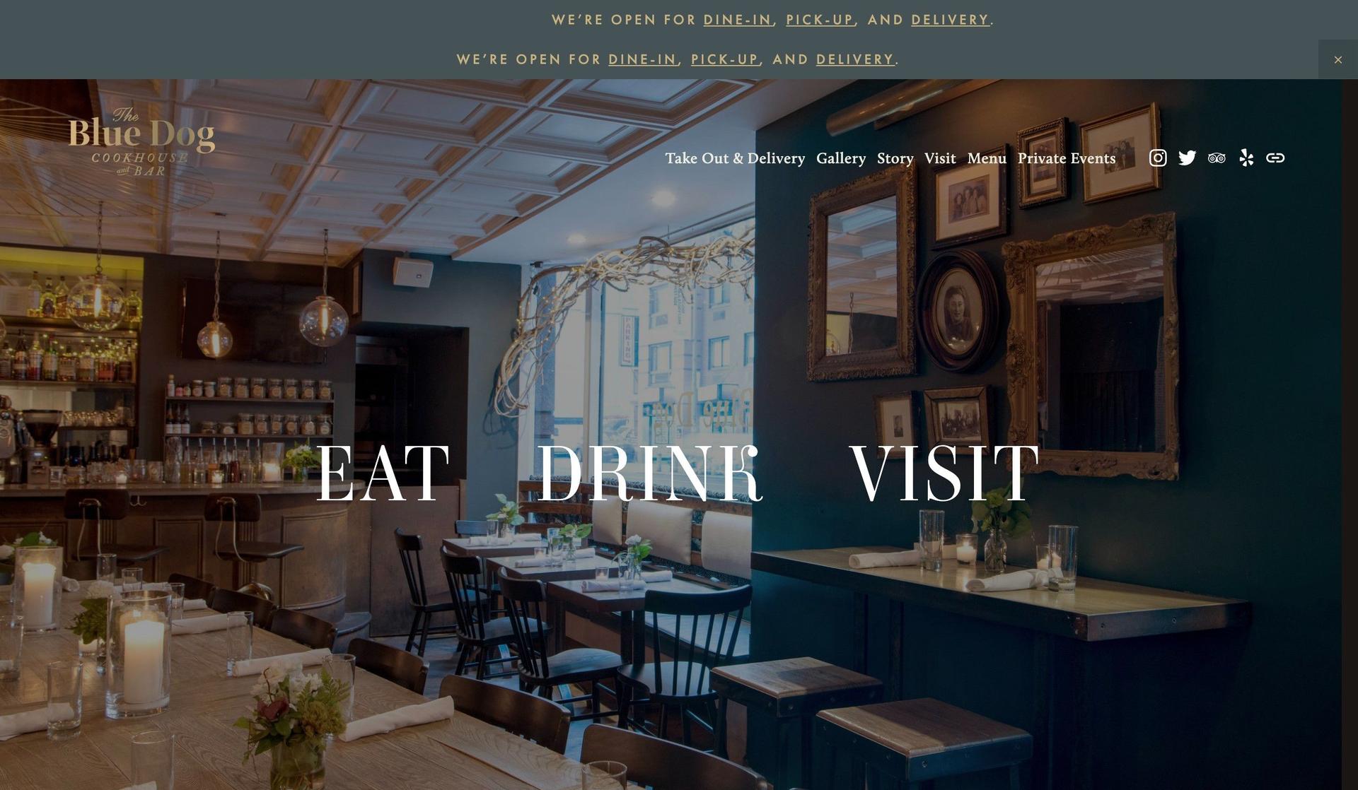 Blue Dog NYC-interactive website examples