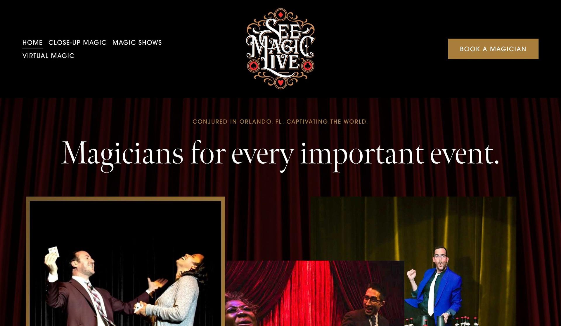 See Magic Live-responsive web design examples