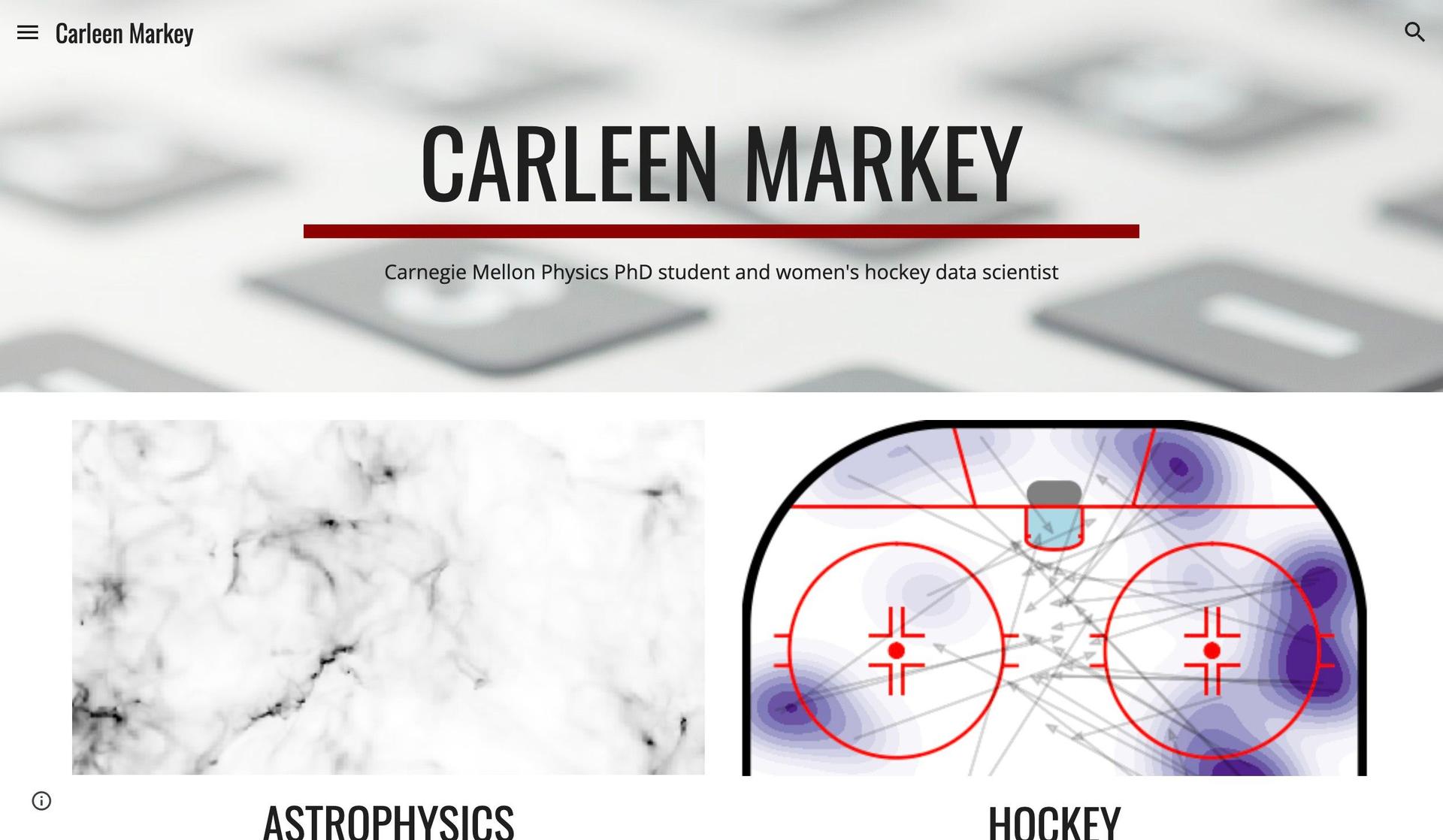 Carleen Markey-student portfolio examples