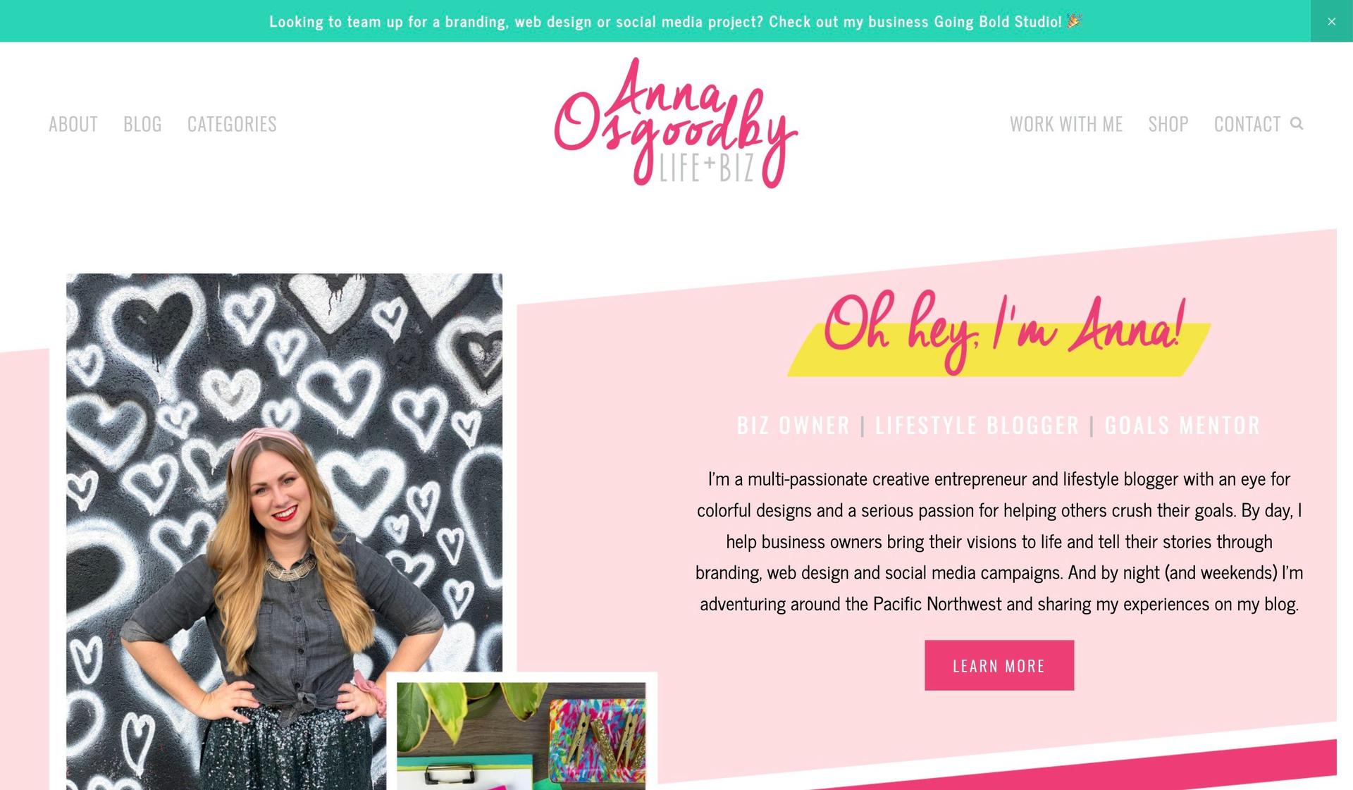 Anna Osgoodby-colorful websites