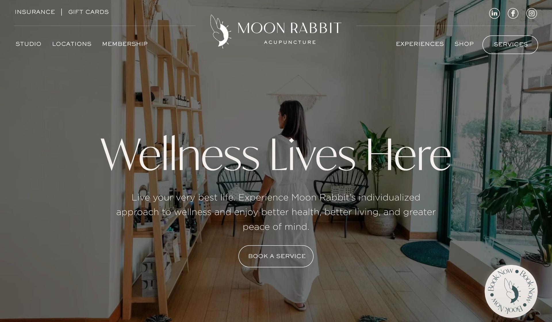 Moon Rabbit Acupuncture-ui design examples