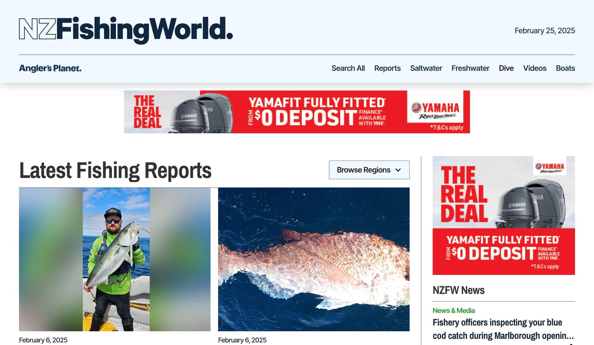 NZ Fishing World-news website design