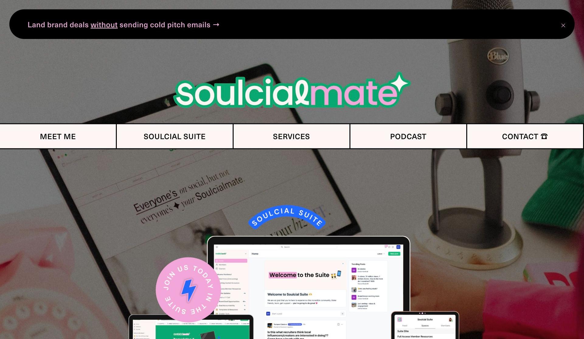 Your Soulcial Mate-membership site examples